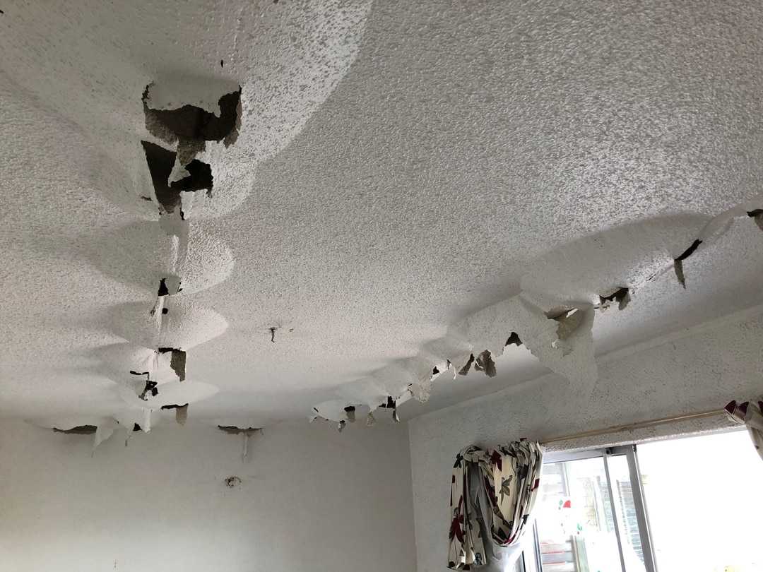 Roof Leak Prevention